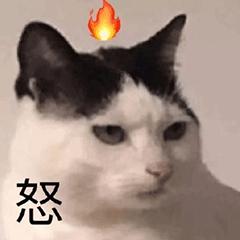 “我再也不想跟老公一块睡了”网友:我出50块,把床铺大点哈哈哈