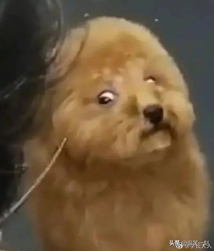 神仙男友的奇葩操作,男友的奇葩脑回路评论区笑不活了