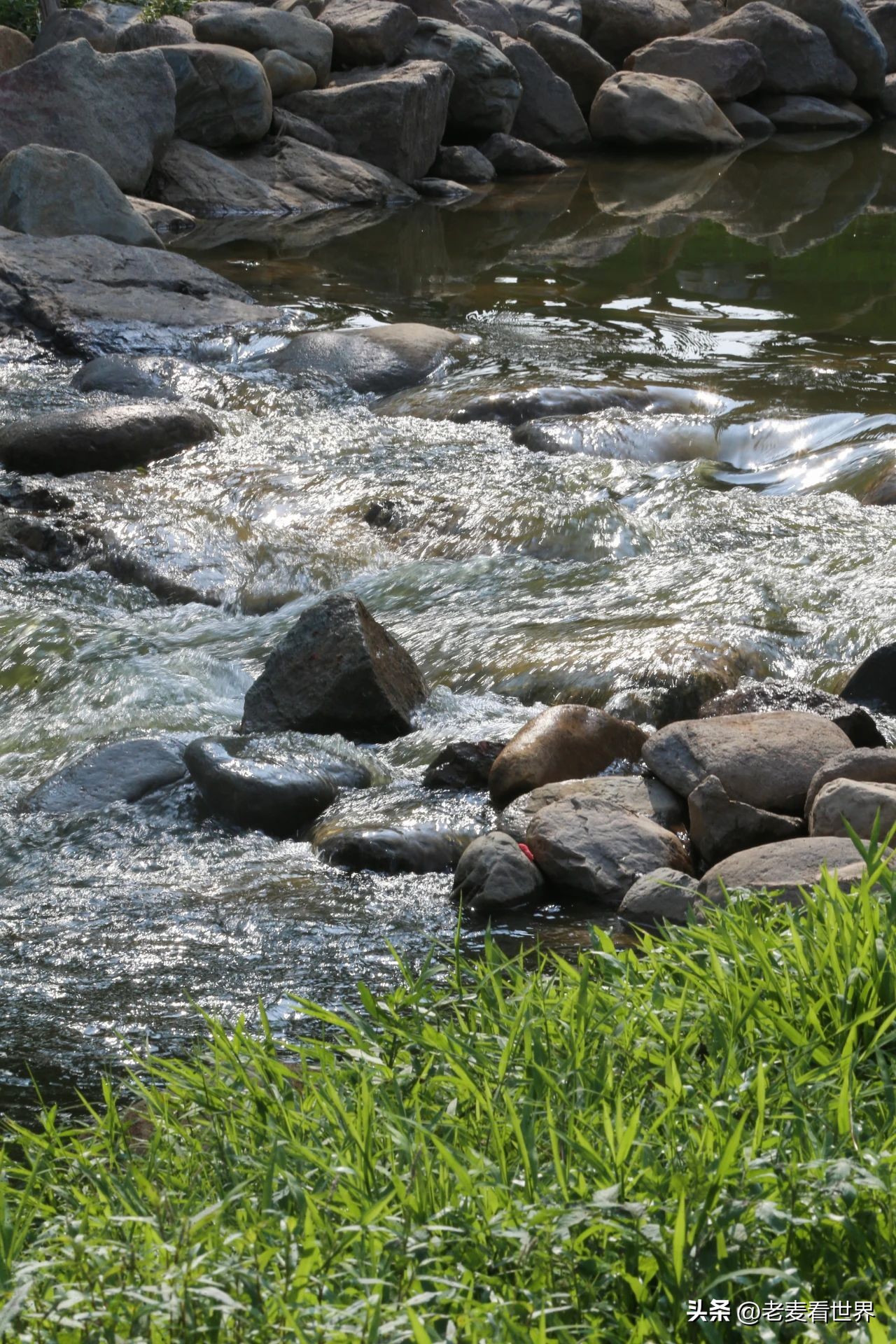打卡公园东莞游玩攻略,东莞森林公园攻略