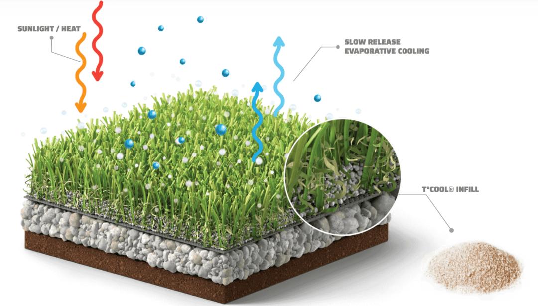 天然草坪标准养护有覆砂和碾压吗,草坪养护浇水频次表
