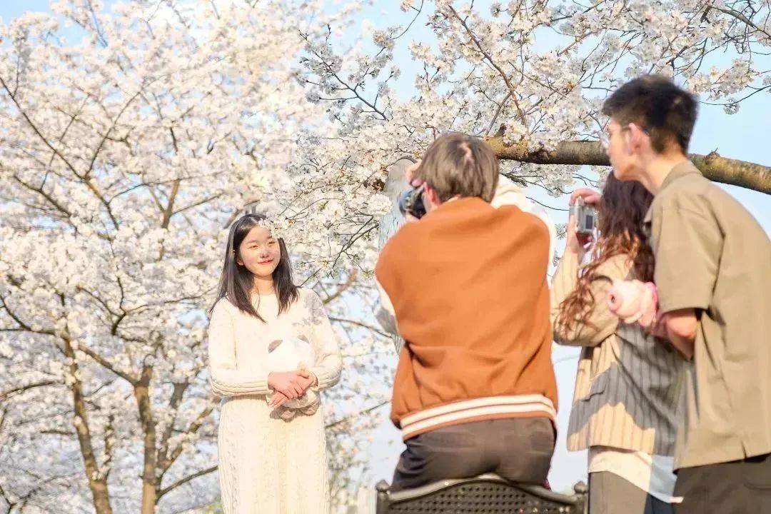 雨樱也浪漫！浙工大美美美！