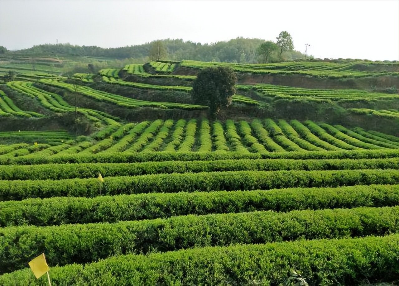 云贵高原秘境探险,乌蒙山腹地探索之旅