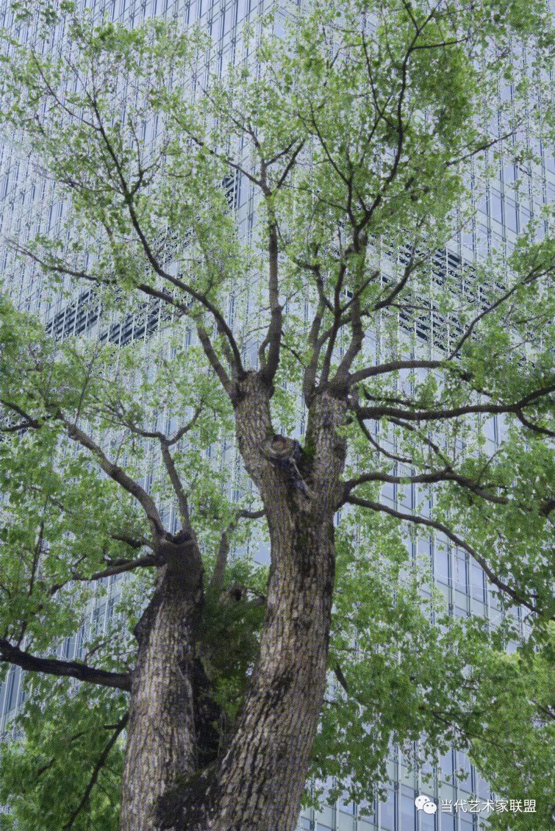 2022年当代艺术作品展,2021年中国当代艺术名家作品展