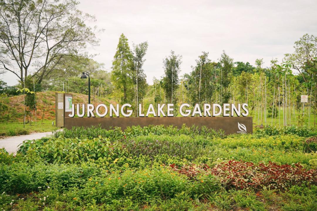 新加坡遛娃免费景点推荐一下,新加坡周末遛娃