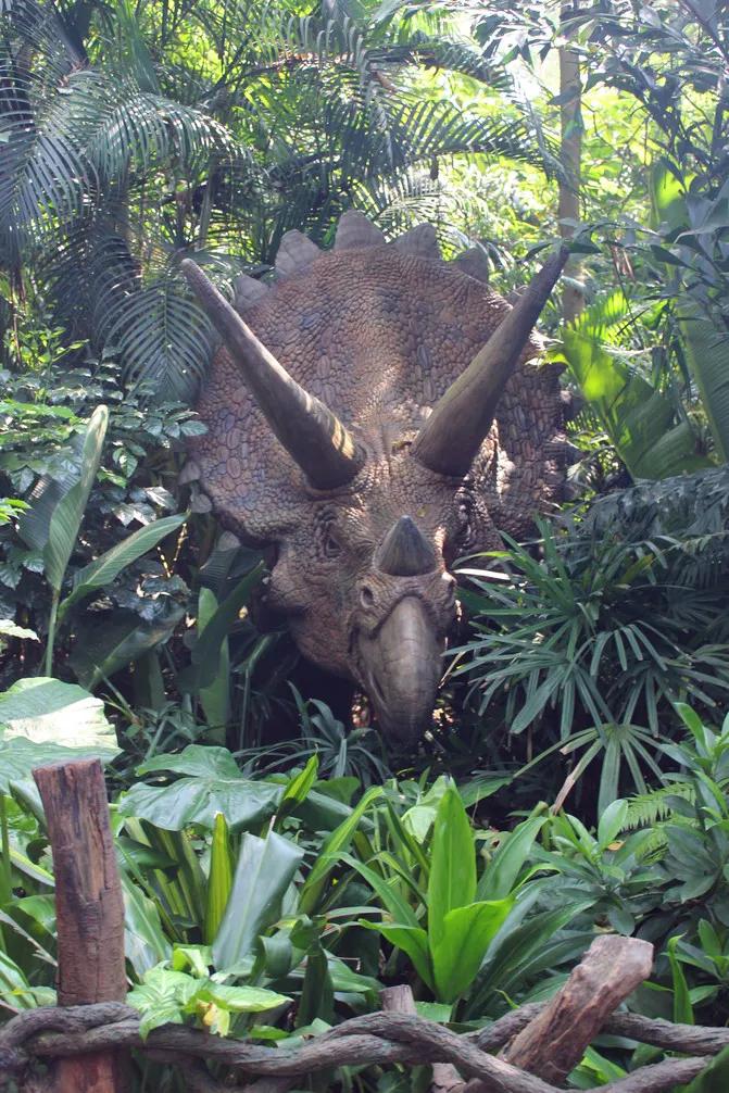 广州长隆野生动物园全部动物,广州长隆野生动物园所有动物介绍