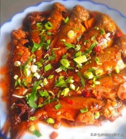 鲶鱼是世界上最脏的鱼,中国十大最脏鱼是什么鱼