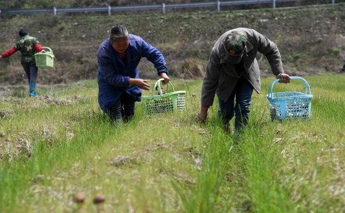 温铁军谈未来农村的房子,温铁军谈农村土地和房子要留好