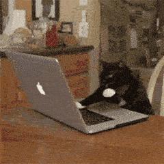 u盘启动有几种,哪种u盘启动最好用