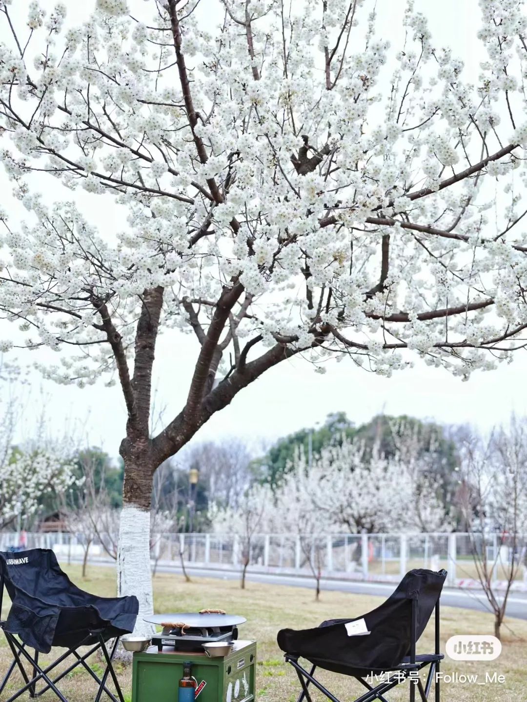 成都免费露营地推荐过夜,成都周边露营地推荐自驾