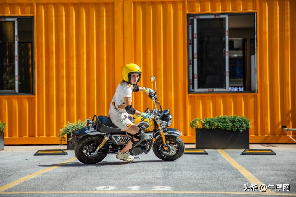 银钢150和蜜獾怎么选,平头哥蜜獾的战斗力有多强