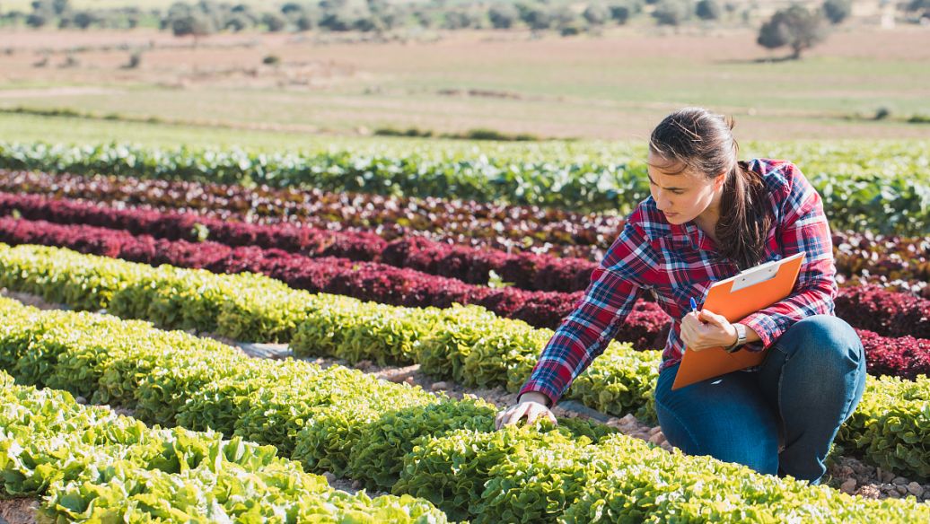 三农金融,农村金融发展新模式