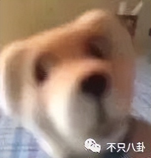 白鹿许凯绯闻什么时候的,许凯和周冬雨有绯闻吗