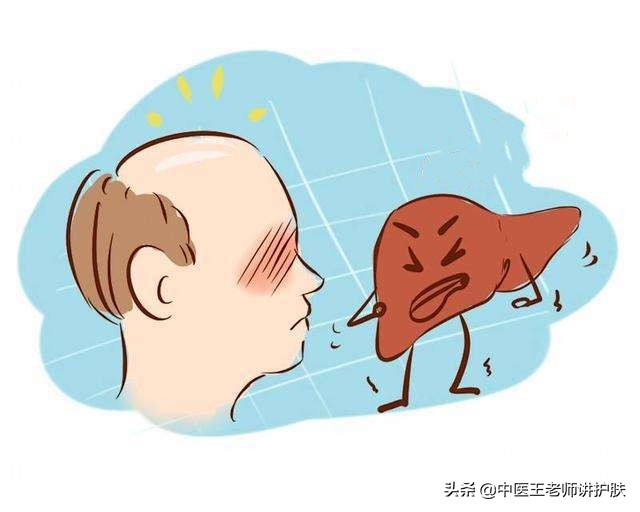 女性脂溢性脱发补肝肾气血有用吗,脂溢性脱发为什么祛风活络