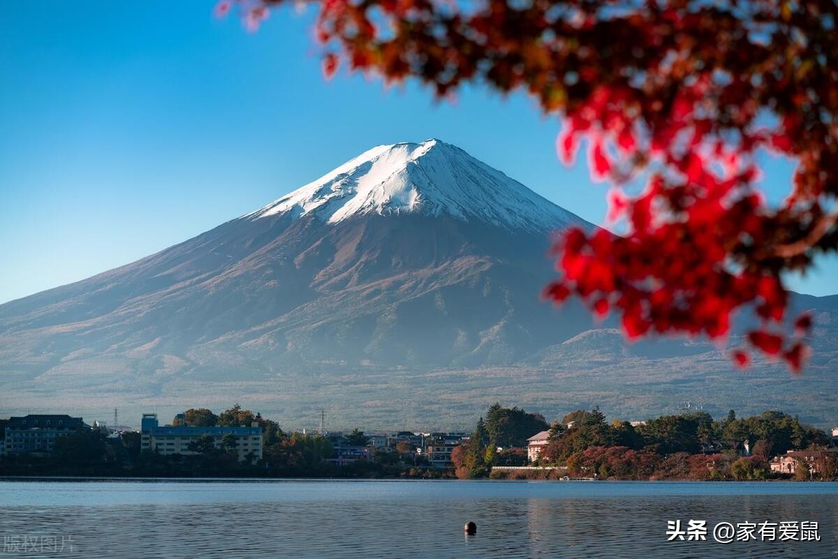 日本口腔医学留学攻略,日本留学吃饭详细攻略
