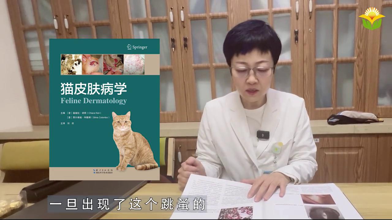 新书推荐：猫皮肤病学#宠物医生也会喜欢看的书