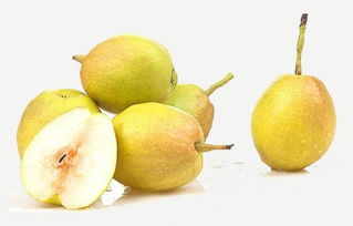 这十种食物晚上常吃身体好,有助于睡眠的五谷粗粮