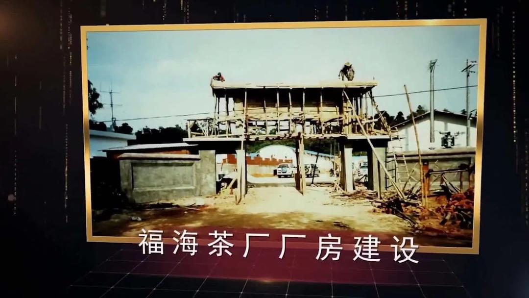 福海茶厂原料,福海茶厂地址