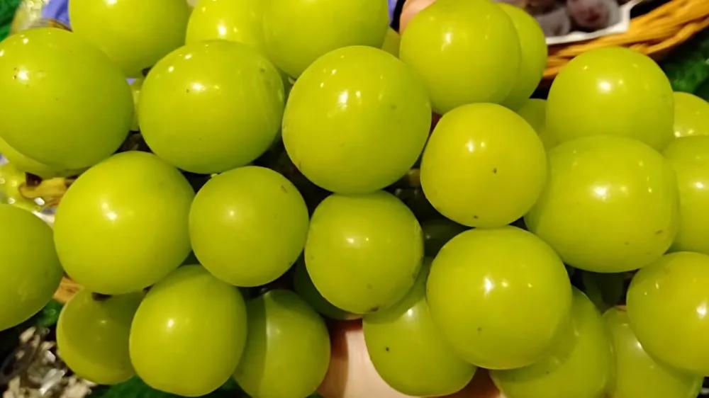 如何开一个水果店生意好一点,怎样开水果店生意才能好起来