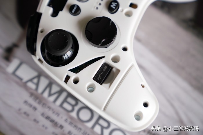 莱仕达手柄p20可以玩什么游戏,莱仕达手柄pxn-9628连接switch