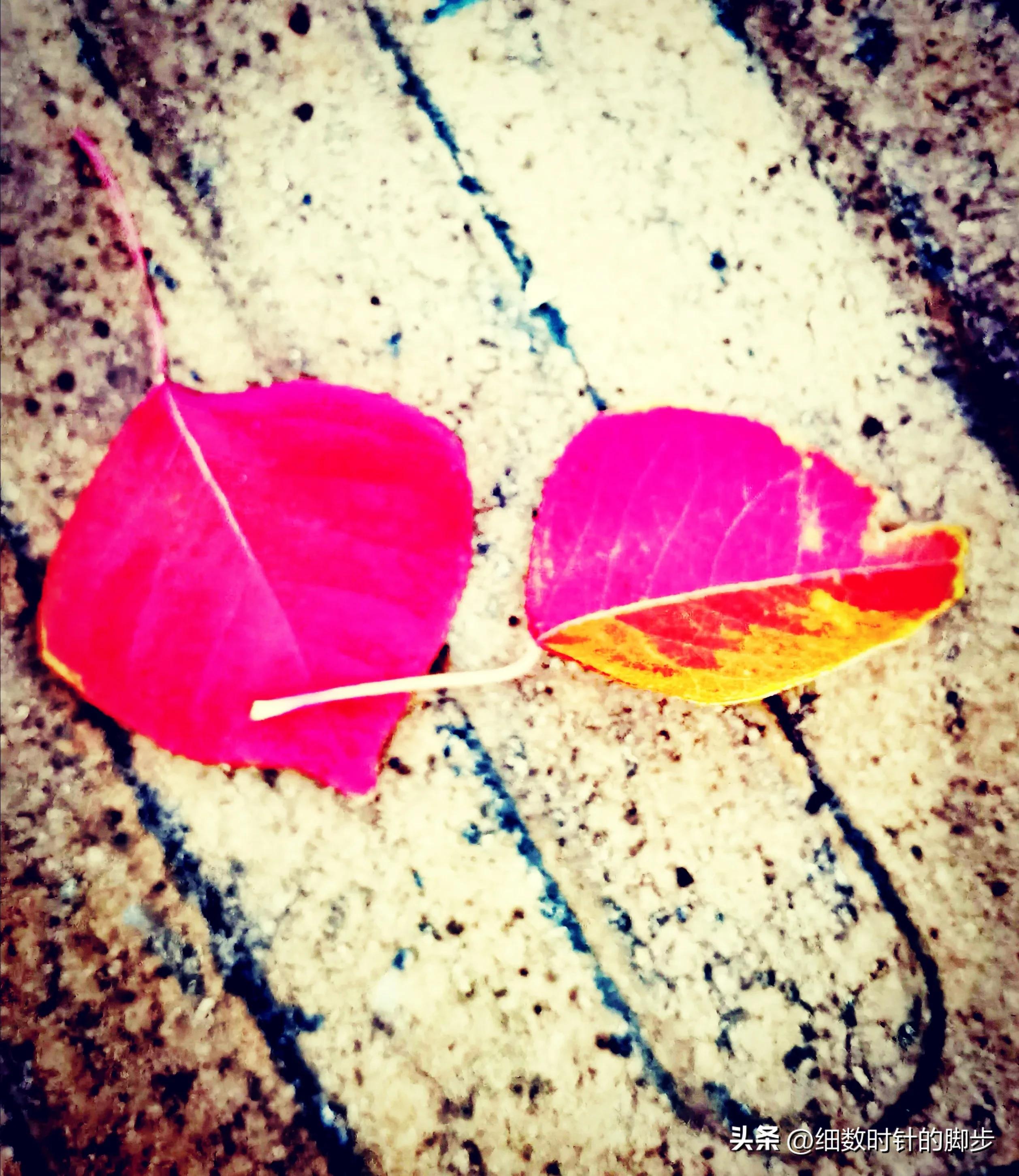 跟老婆道歉发多少红包,以红包的方式给老婆道歉