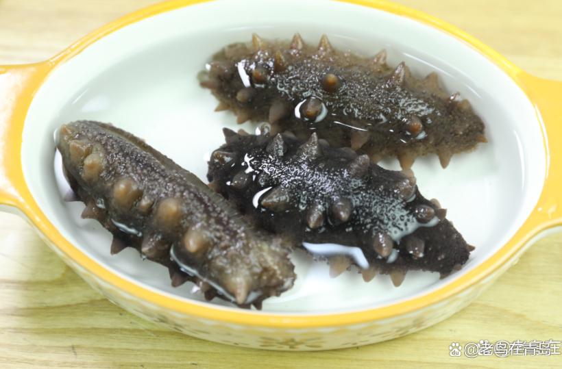 野生海参价格大概多少钱一斤,野生海参的价格多少一斤