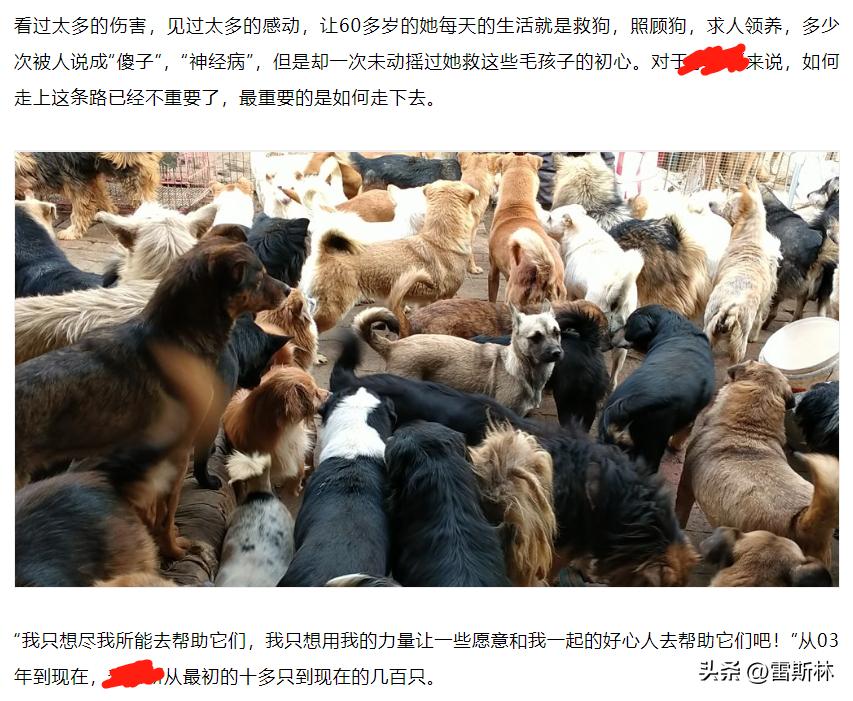 你的善良成为别人的资本,你的善良成了别人伤害你的利剑