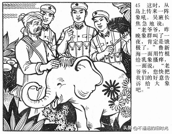 大象搬家,大象搬家河北