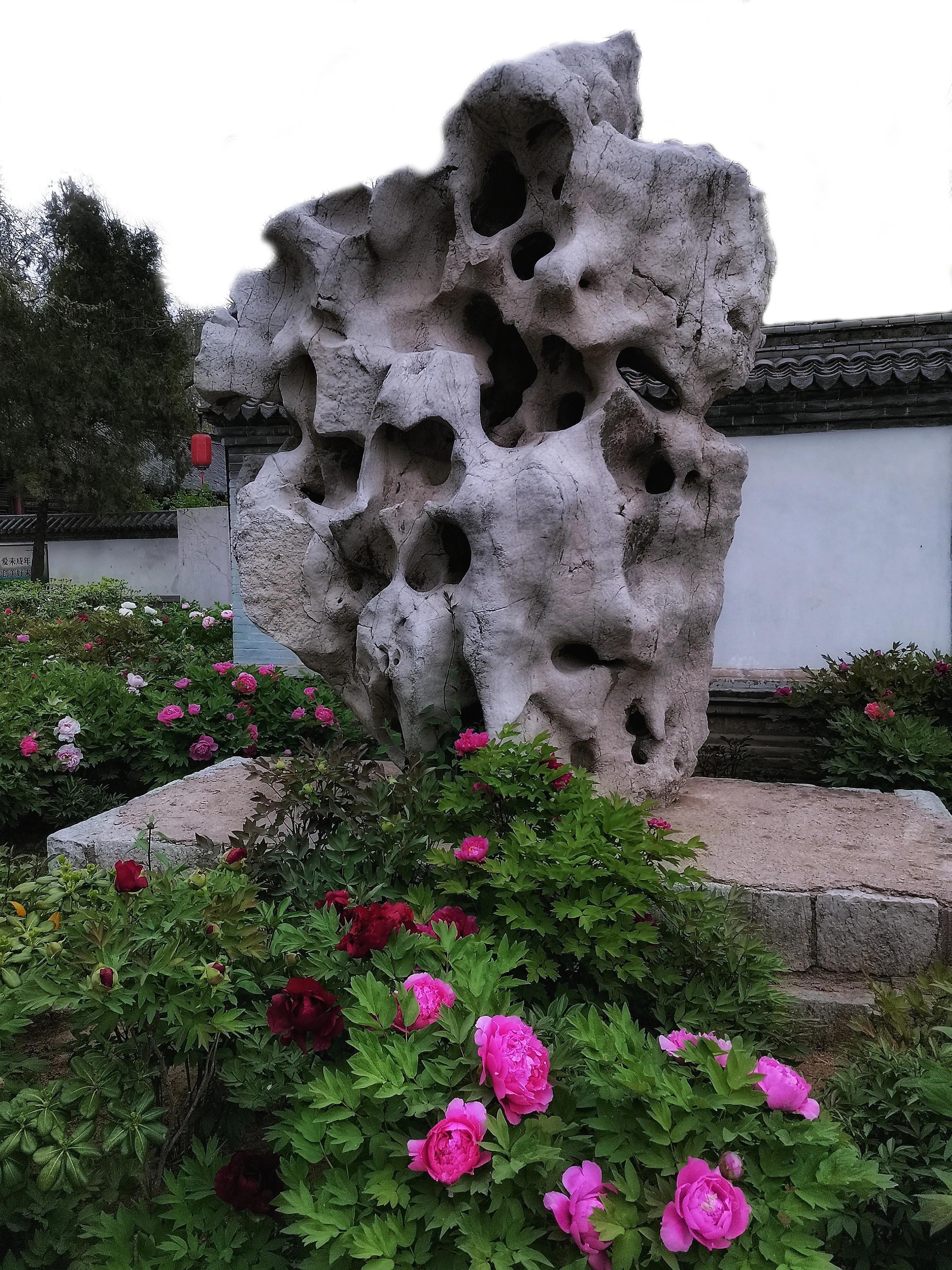 百花酿诗韵芬芳留人间（一）