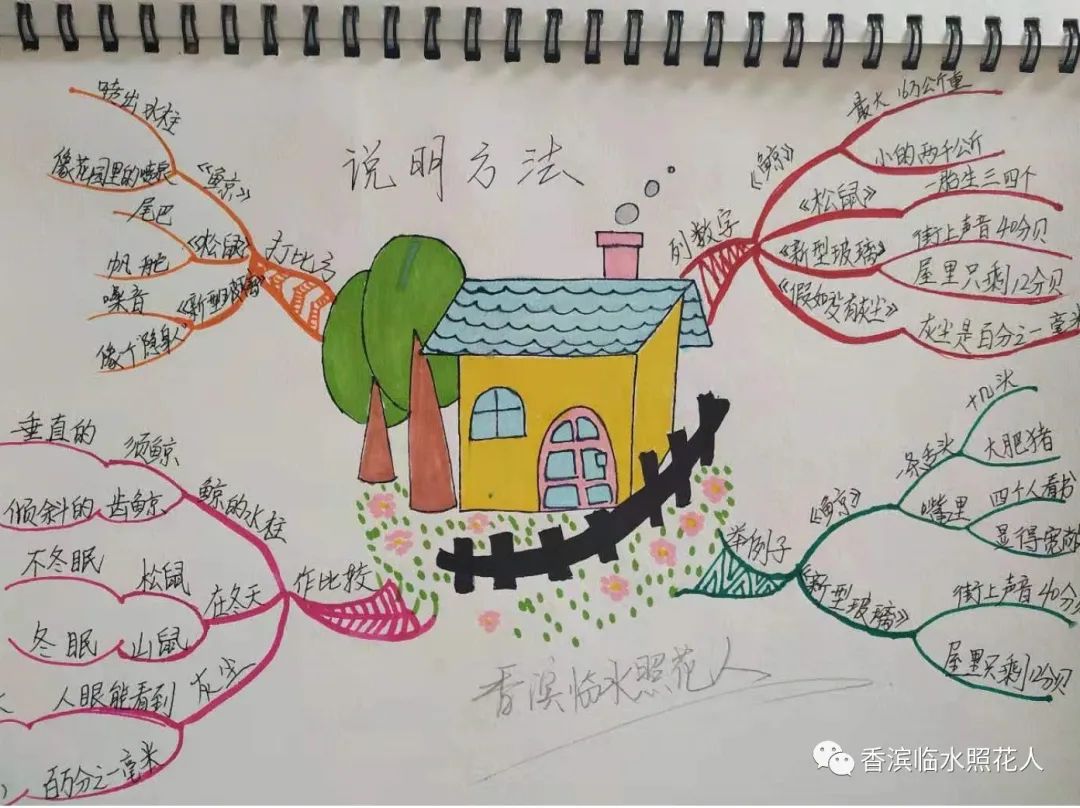 五年级我的心爱之物讲解,五年级我的心爱之物课文写玩具熊