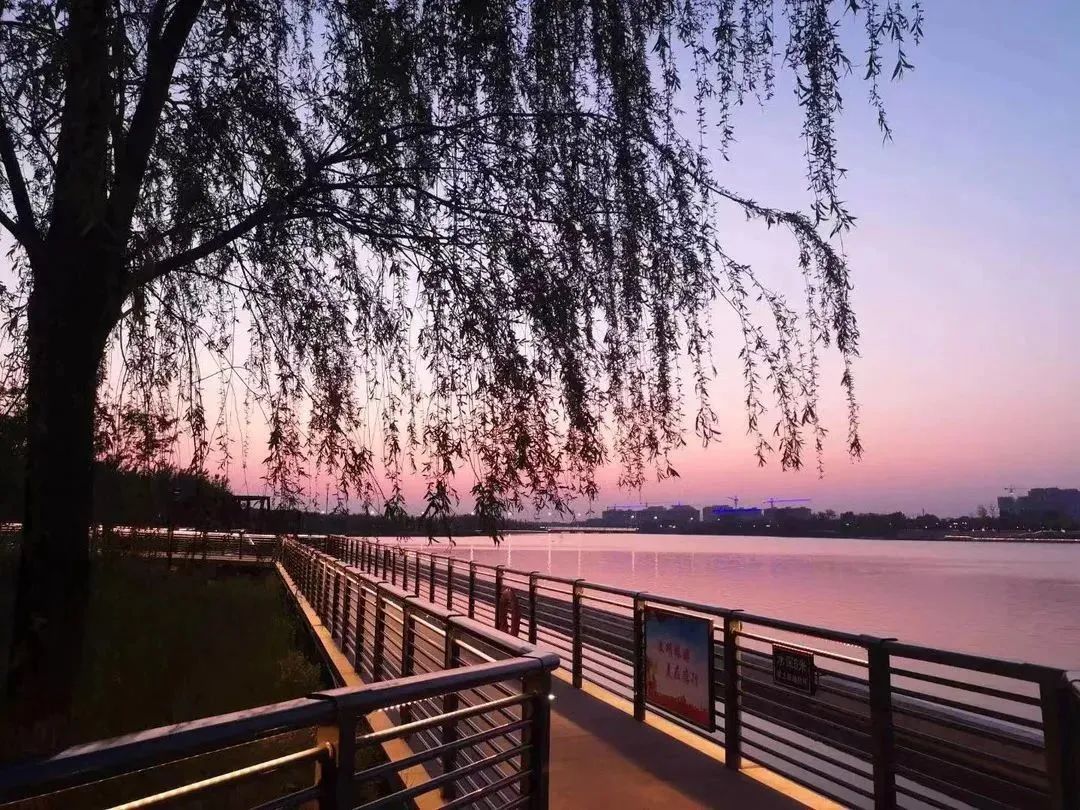 淄博张店烧烤打卡地在哪,淄博张店附近野炊烧烤地点