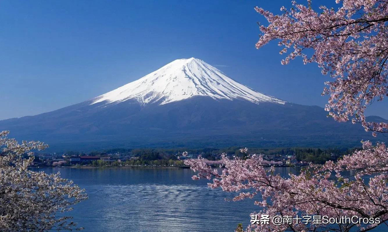 沈阳小伙卖东西,沈阳小伙暴富