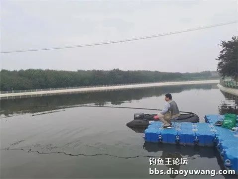 钓鱼王王者风范，拿捏多鱼种轻松