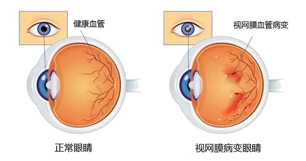 五轮学说的意义,五轮学说的应用