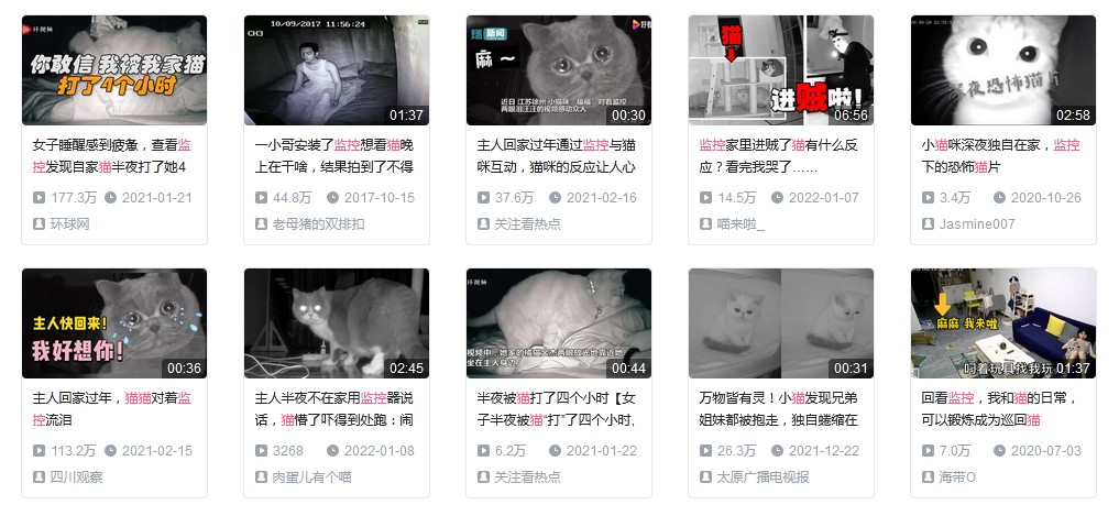 家里养猫用什么监控,养猫家庭用什么监控宠物