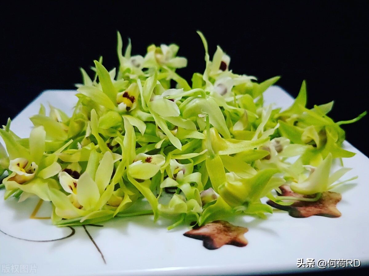 春天喝这些花最养人赶紧喝起来吧,春季吃什么花对身体有好处