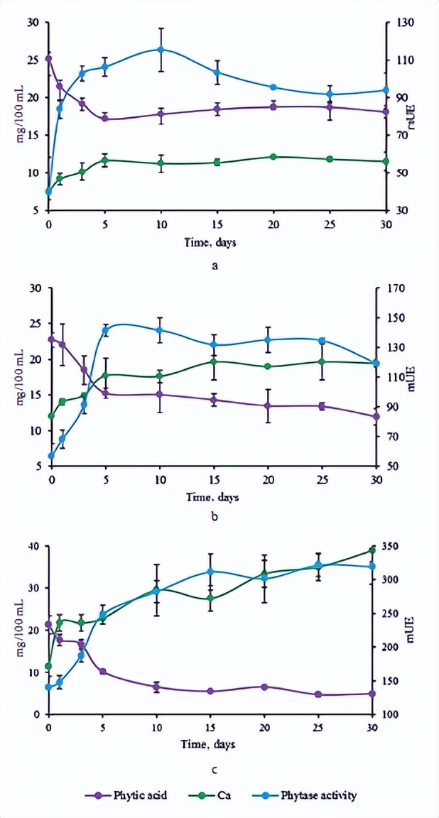 大白菜乳酸菌发酵,白甘蓝与紫甘蓝