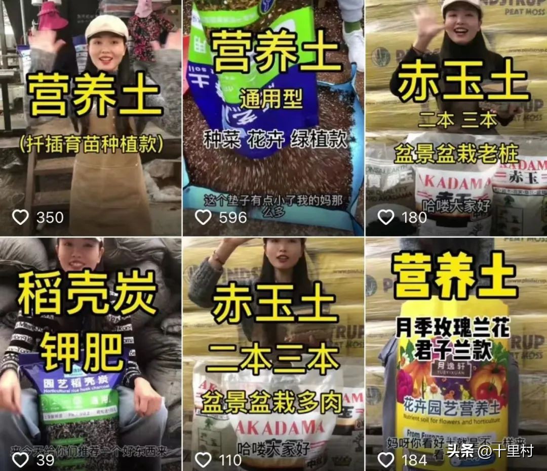 抖音卖水果年入百万,抖音上卖牛粪