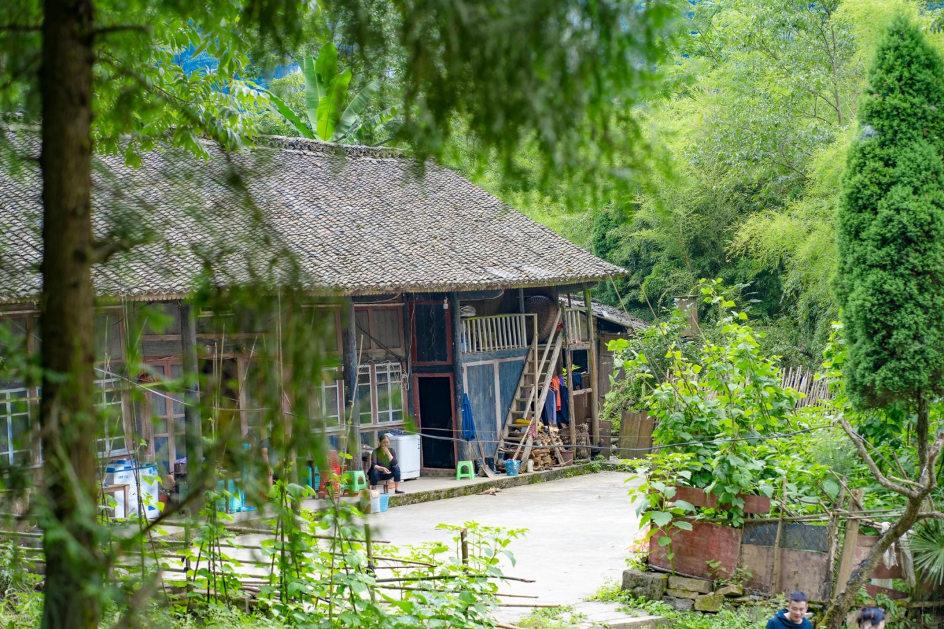 毕节油杉河景区,贵州夏季的避暑景点