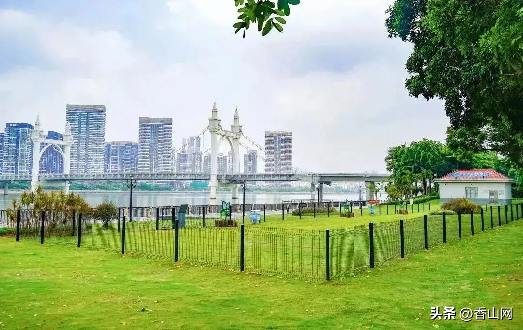 珠海唐家遛狗好去处,周末遛狗好去处乌鲁木齐