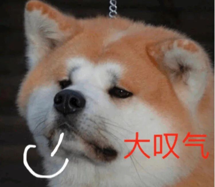 快递被弄丢了怎么办,你的快递有弄丢过吗