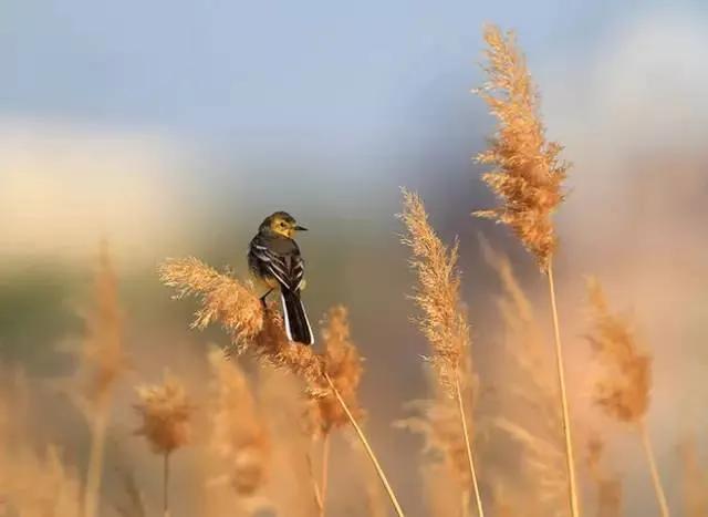 孩子吞了一块香皂,孩子误吞一块肥皂