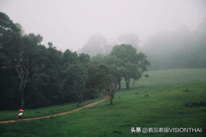 泰国小众登山旅游,泰国的七大露营胜地