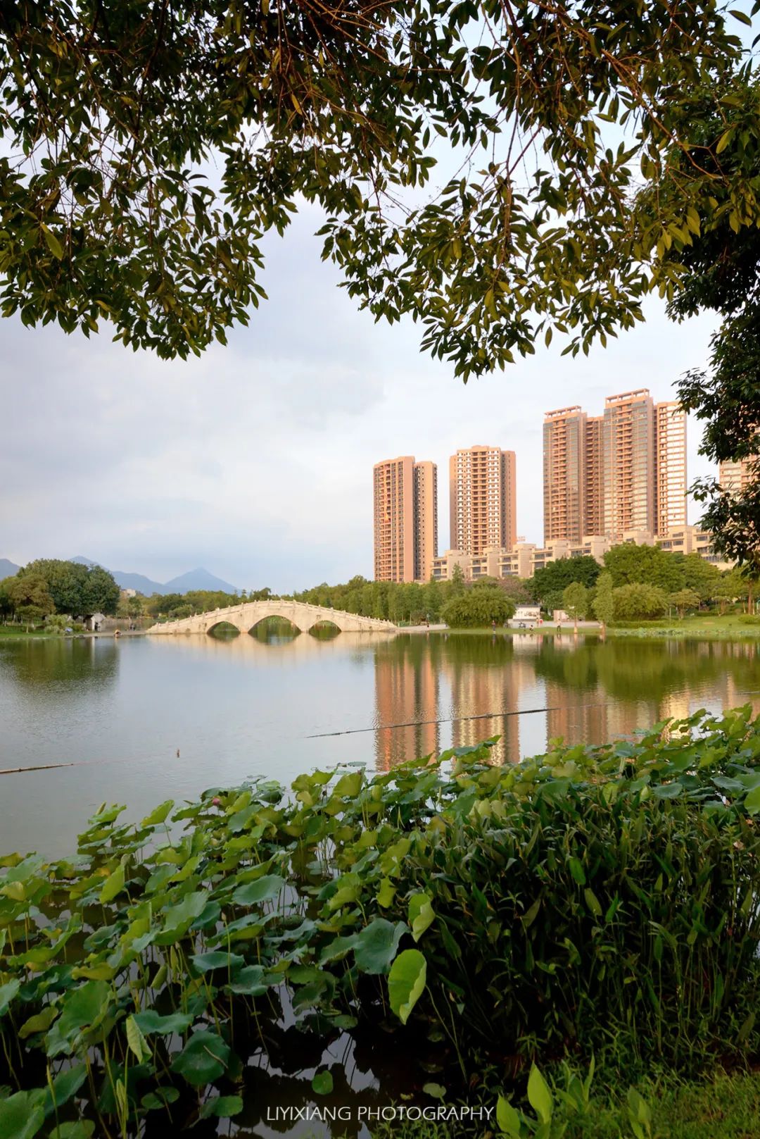 清远鸡什么地方最好,清远鸡冷知识