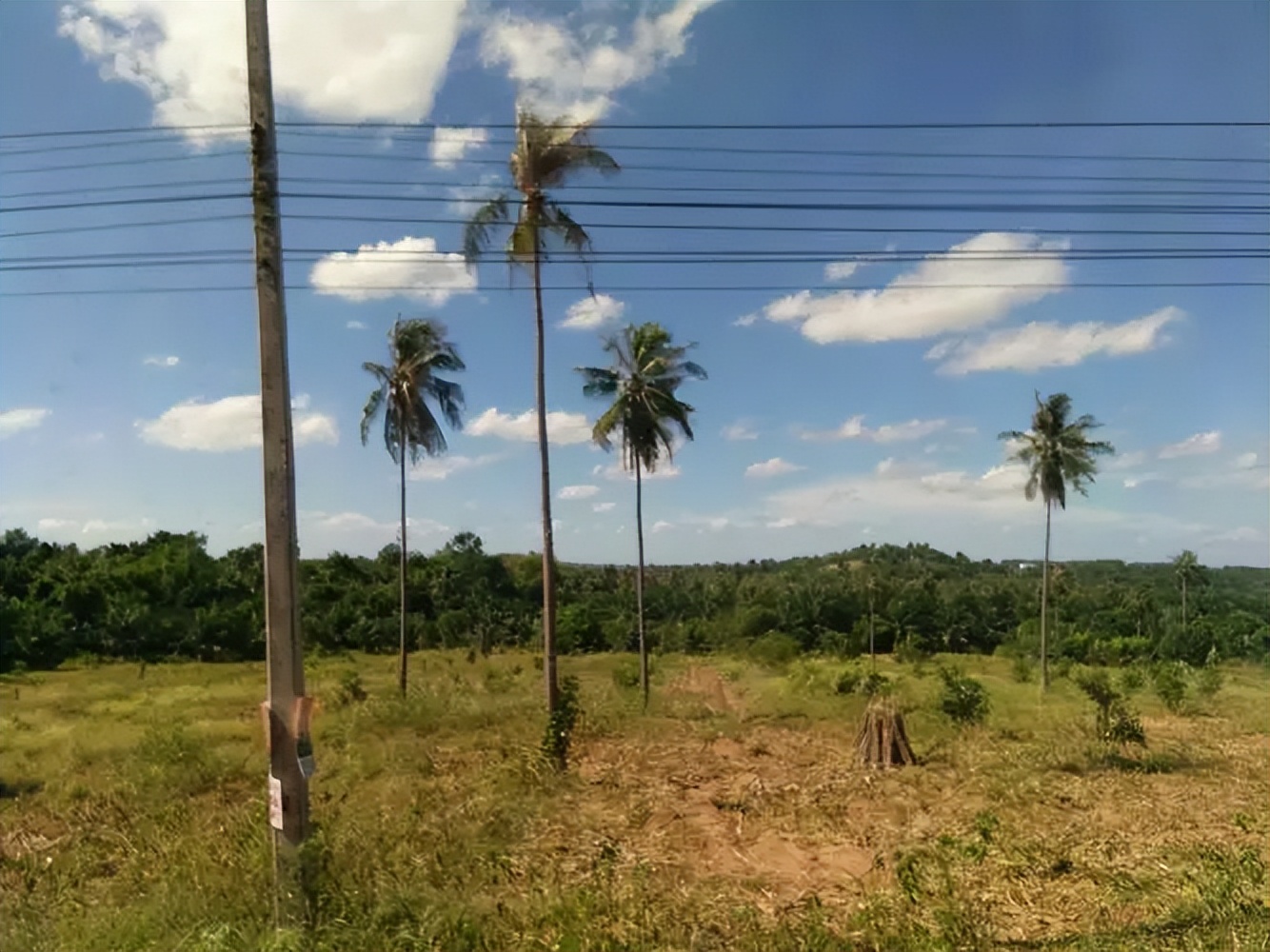 北京小伙娶泰国选美冠军后续,北京男子娶泰国人妖现在怎么样