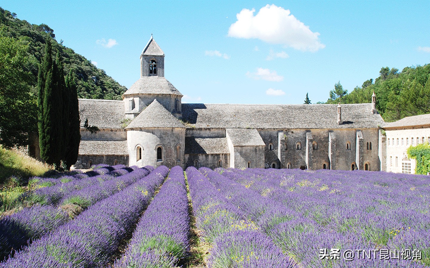 国外适合情侣度蜜月的地方,蜜月圣地国外蜜月旅行推荐
