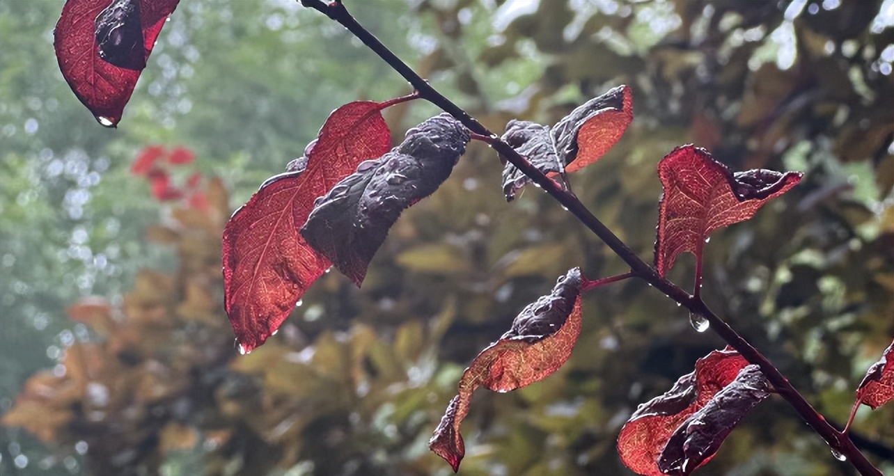 抖音短视频拍摄团队,如何拍摄抖音短视频美发