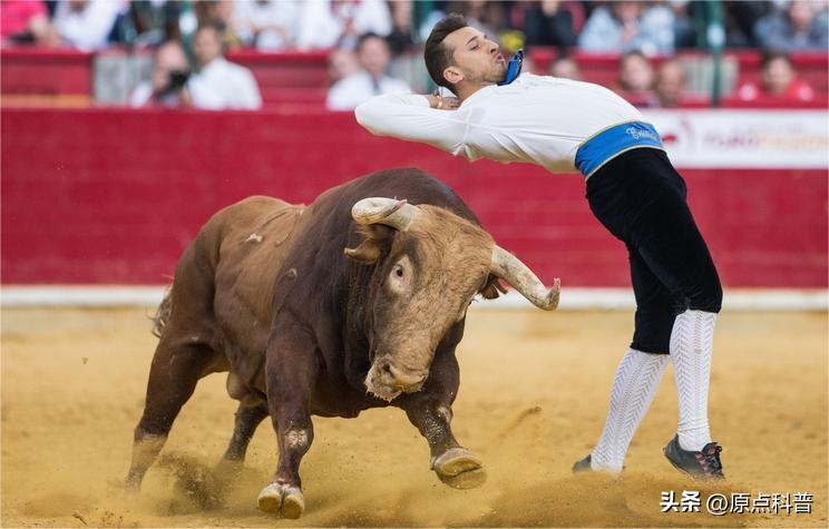 十大不起眼的赚钱行业排行榜最新,小县城利润最高的不起眼行业赚钱