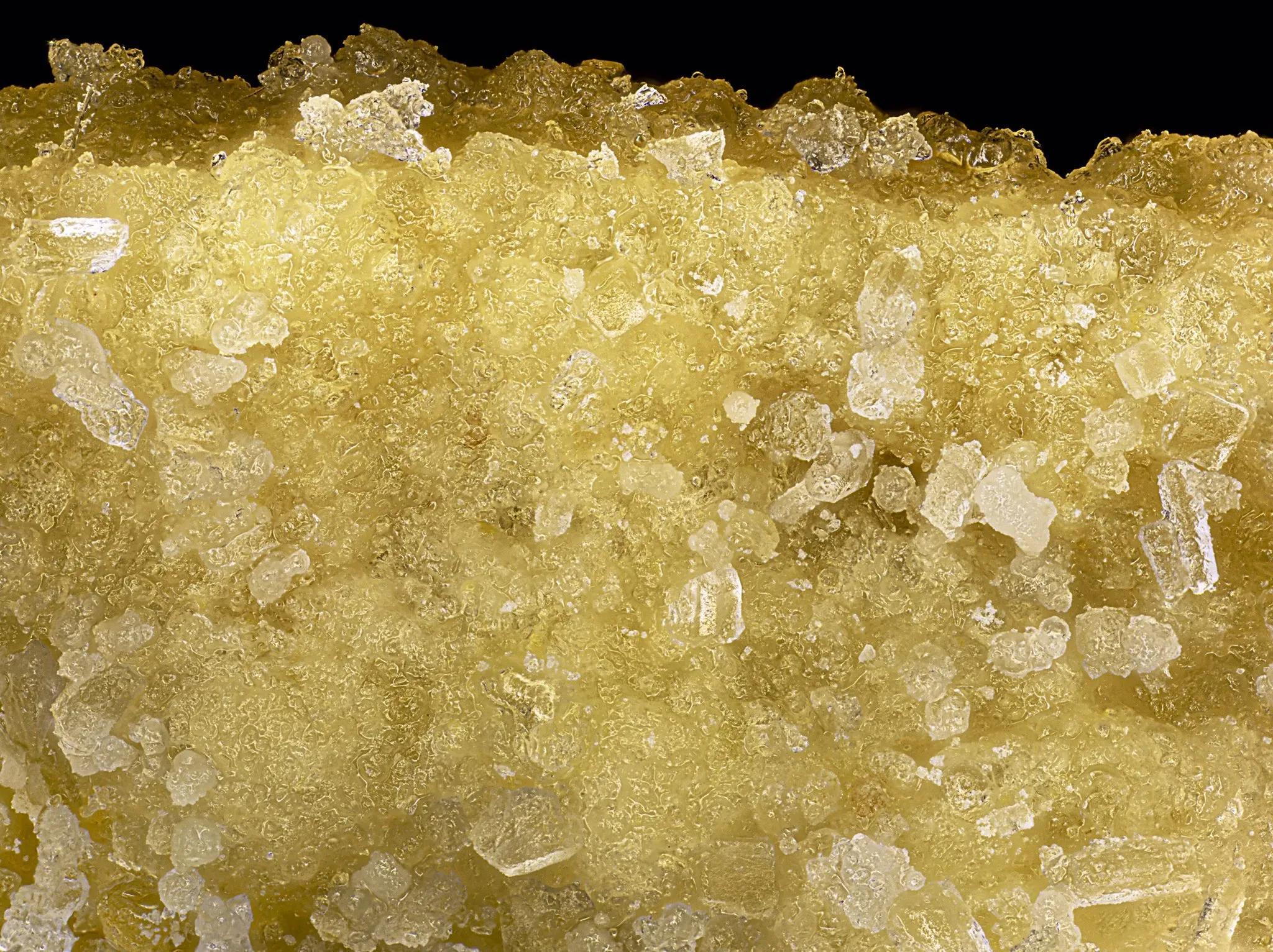 手指在显微镜下太恐怖了,显微镜下的恐怖世界蝎子