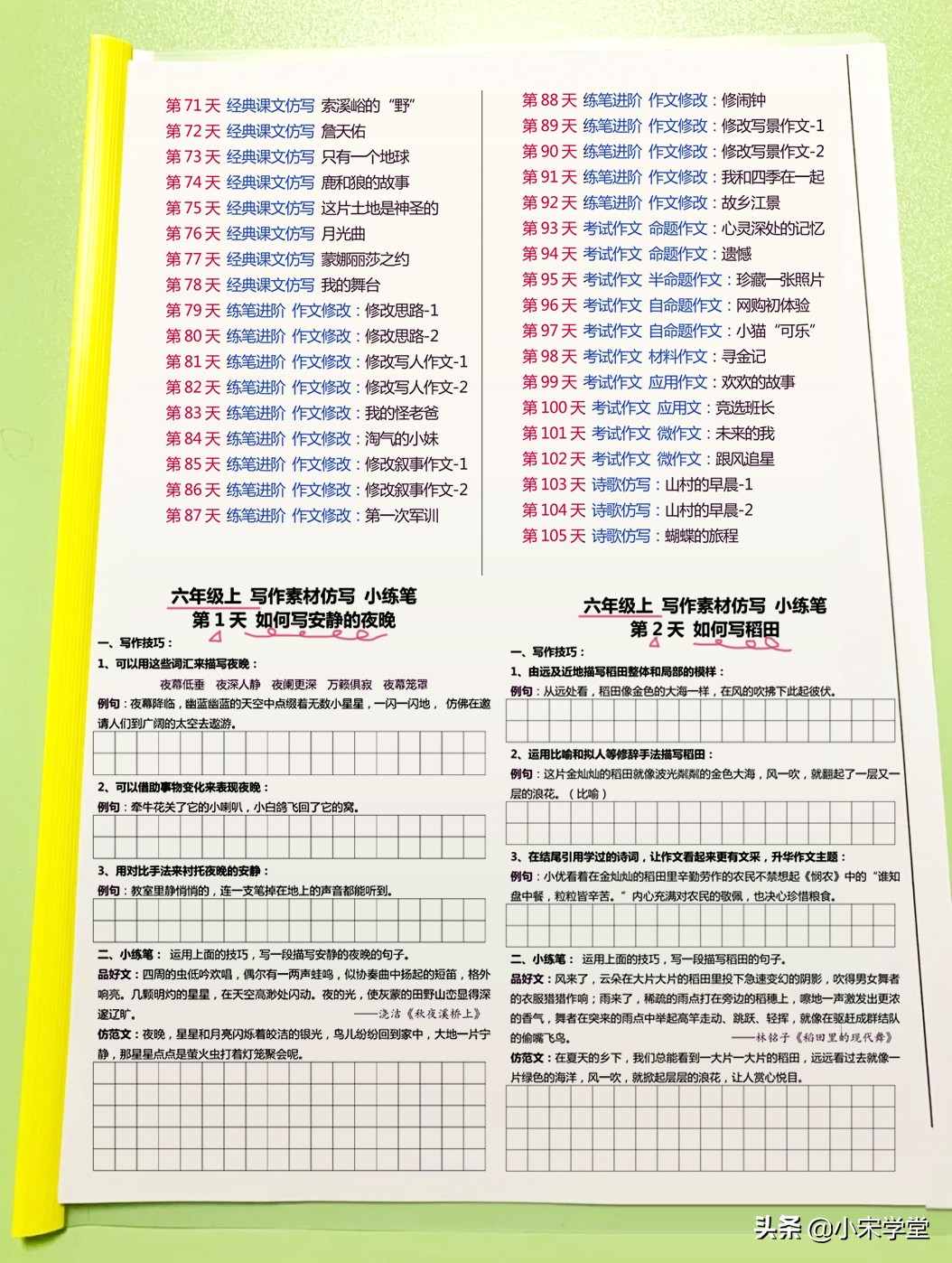 六年级下写作素材仿写,五升六习作专项训练