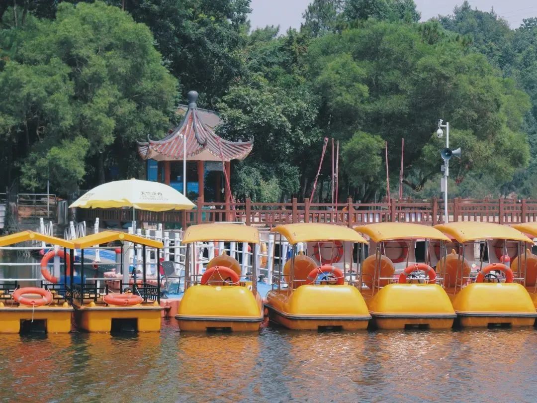 厦门秋游最佳去处,厦门周边秋游